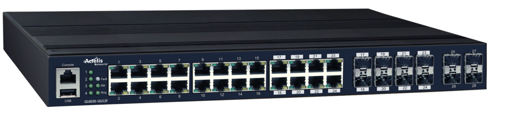 28 port managed switch